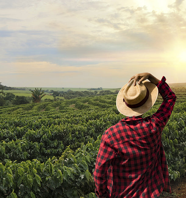 Om CAFÉGO i Lifestyle Magazine